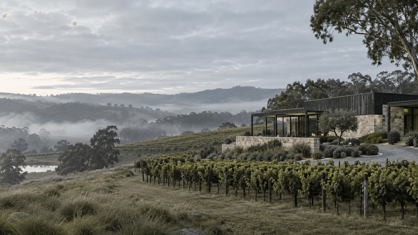 A fictional misty Napa Valley vineyard and tasting room